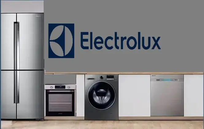 Avcılar Electrolux servisi